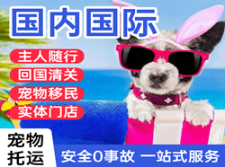 阿尔山伊尔施空运代理国际宠物托运 【国